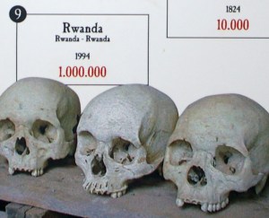 Skulls