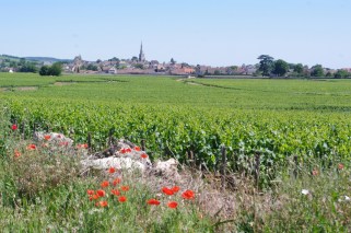 Meursault