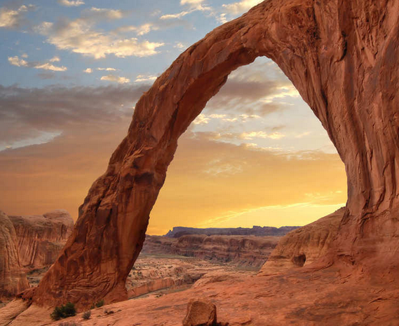 Screenshot 2020-03-18 at 10.10.06