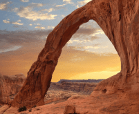 Screenshot 2020-03-18 at 10.10.06